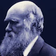 Beat Darwin cover