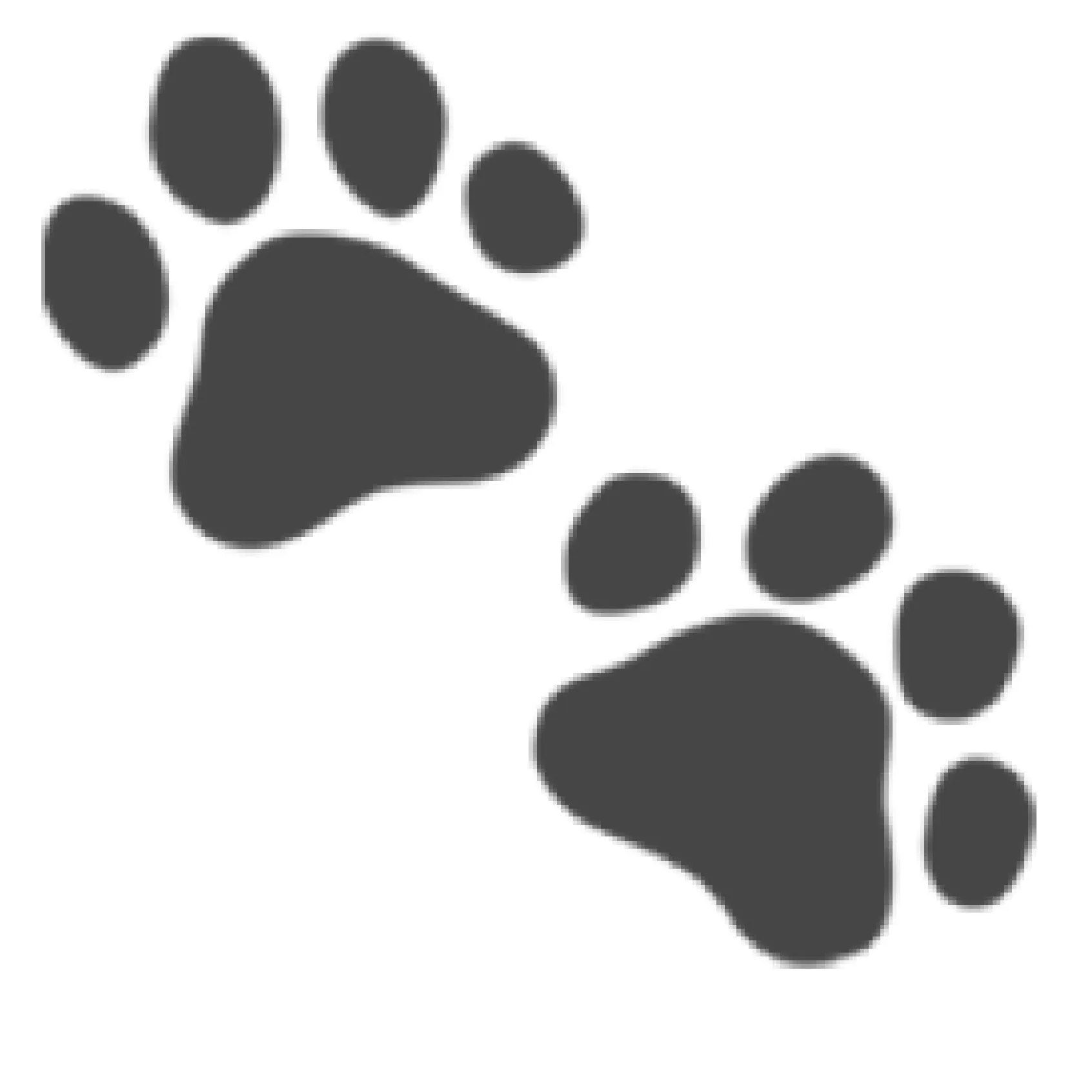 DOGDLE cover