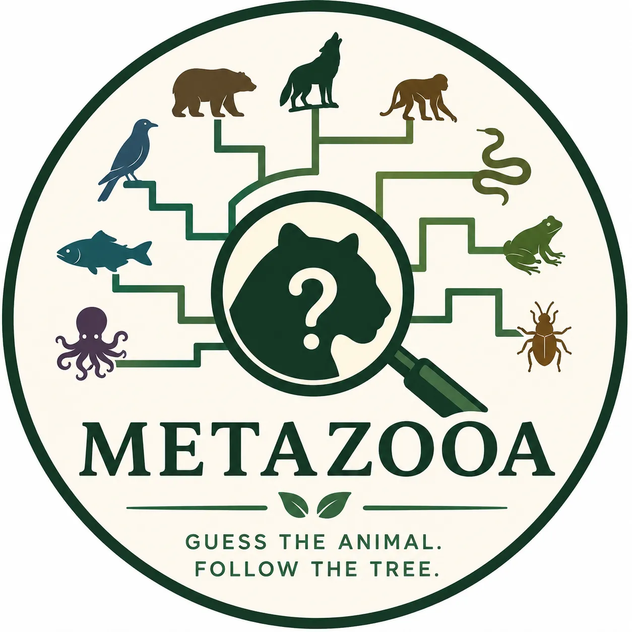 Metazooa cover